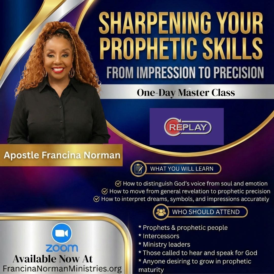 WhatsApp Image 2026-02-11 at 15.58.08